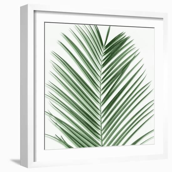 Palm Green V-Mia Jensen-Framed Art Print