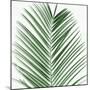 Palm Green V-Mia Jensen-Mounted Art Print