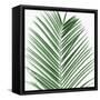 Palm Green V-Mia Jensen-Framed Stretched Canvas