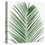 Palm Green V-Mia Jensen-Stretched Canvas