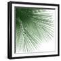 Palm Green VI-Mia Jensen-Framed Art Print