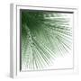 Palm Green VI-Mia Jensen-Framed Art Print