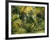 Palm Grove, Coconut Trees-Thonig-Framed Photographic Print