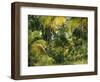 Palm Grove, Coconut Trees-Thonig-Framed Photographic Print