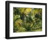 Palm Grove, Coconut Trees-Thonig-Framed Photographic Print