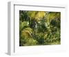 Palm Grove, Coconut Trees-Thonig-Framed Photographic Print