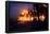 Palm Grove in Iraq (U.S. Detonated Explosions) Art Poster Print-null-Framed Poster