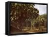 Palm Grove near Karnak, Egypt-English Photographer-Framed Stretched Canvas