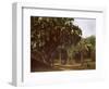 Palm Grove near Karnak, Egypt-English Photographer-Framed Giclee Print