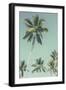 Palm Grove Westside-Chris Simpson-Framed Giclee Print