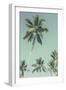 Palm Grove Westside-Chris Simpson-Framed Giclee Print