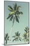 Palm Grove Westside-Chris Simpson-Mounted Giclee Print