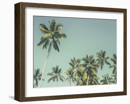 Palm Grove-Chris Simpson-Framed Giclee Print