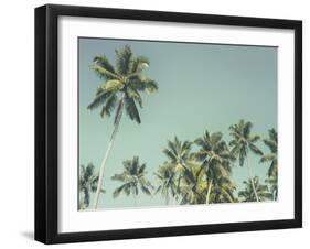 Palm Grove-Chris Simpson-Framed Giclee Print