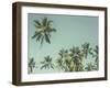 Palm Grove-Chris Simpson-Framed Giclee Print