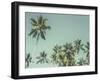 Palm Grove-Chris Simpson-Framed Giclee Print