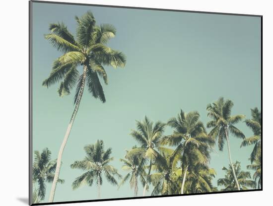 Palm Grove-Chris Simpson-Mounted Giclee Print