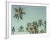 Palm Grove-Chris Simpson-Framed Giclee Print