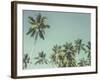 Palm Grove-Chris Simpson-Framed Giclee Print