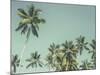 Palm Grove-Chris Simpson-Mounted Giclee Print