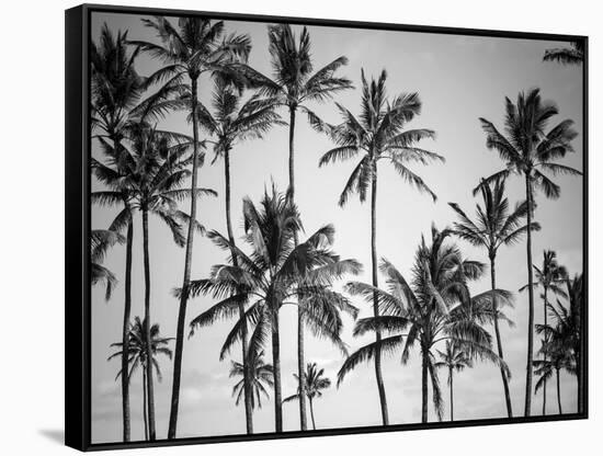 Palm Heaven-Design Fabrikken-Framed Stretched Canvas