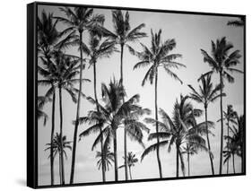 Palm Heaven-Design Fabrikken-Framed Stretched Canvas