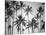 Palm Heaven-Design Fabrikken-Stretched Canvas