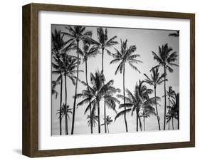 Palm Heaven-Design Fabrikken-Framed Premium Photographic Print