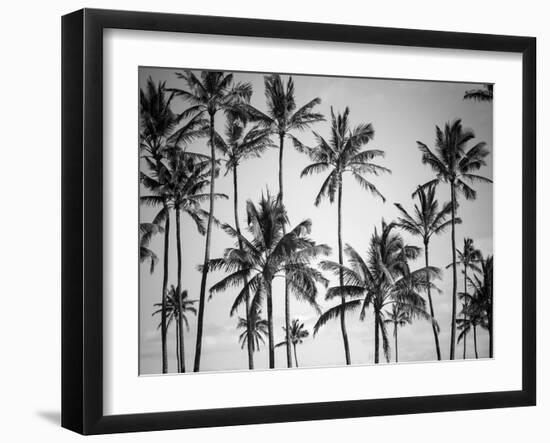 Palm Heaven-Design Fabrikken-Framed Premium Photographic Print