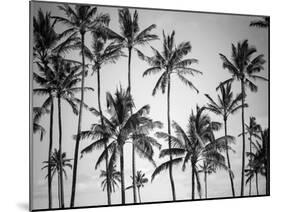 Palm Heaven-Design Fabrikken-Mounted Premium Photographic Print