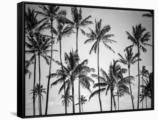 Palm Heaven-Design Fabrikken-Framed Stretched Canvas