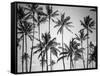 Palm Heaven-Design Fabrikken-Framed Stretched Canvas