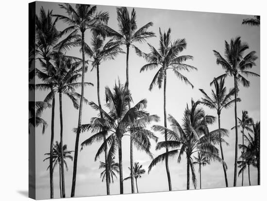 Palm Heaven-Design Fabrikken-Stretched Canvas