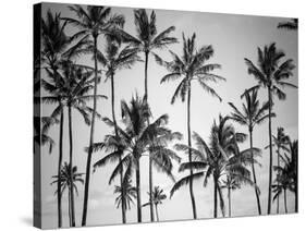 Palm Heaven-Design Fabrikken-Stretched Canvas