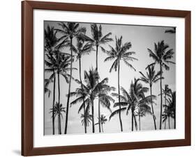 Palm Heaven-Design Fabrikken-Framed Photographic Print