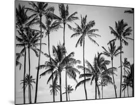 Palm Heaven-Design Fabrikken-Mounted Photographic Print