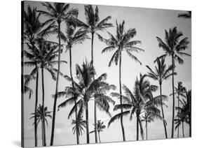 Palm Heaven-Design Fabrikken-Stretched Canvas