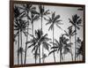 Palm Heaven-Design Fabrikken-Framed Photographic Print