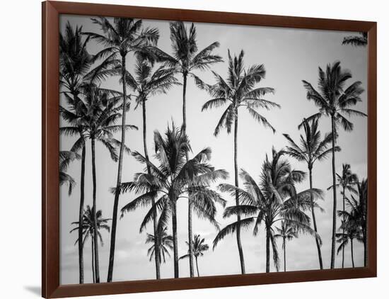 Palm Heaven-Design Fabrikken-Framed Photographic Print