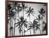 Palm Heaven-Design Fabrikken-Framed Photographic Print