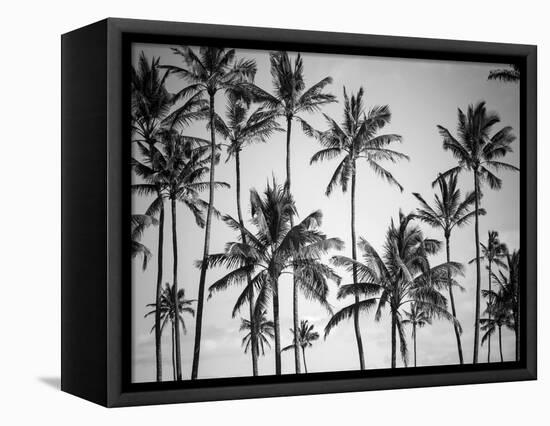 Palm Heaven-Design Fabrikken-Framed Stretched Canvas