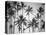 Palm Heaven-Design Fabrikken-Stretched Canvas