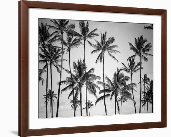 Palm Heaven-Design Fabrikken-Framed Photographic Print