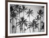 Palm Heaven-Design Fabrikken-Framed Photographic Print