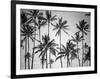 Palm Heaven-Design Fabrikken-Framed Photographic Print