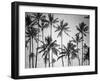 Palm Heaven-Design Fabrikken-Framed Photographic Print