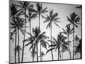 Palm Heaven-Design Fabrikken-Mounted Photographic Print