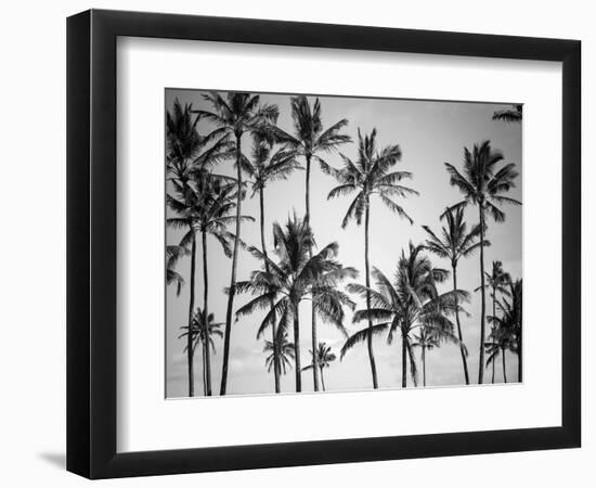 Palm Heaven-Design Fabrikken-Framed Photographic Print