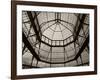 Palm House Following Restoration, the Botanic Gardens, Dublin, Ireland-null-Framed Photographic Print