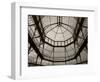 Palm House Following Restoration, the Botanic Gardens, Dublin, Ireland-null-Framed Photographic Print